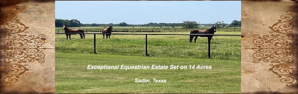 Horse properties