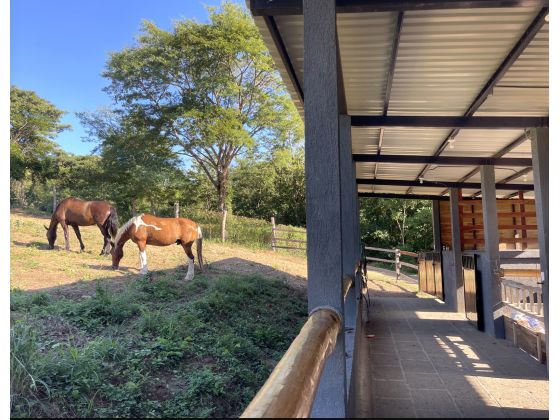 Stables with Tack Room and 2 Stalls
