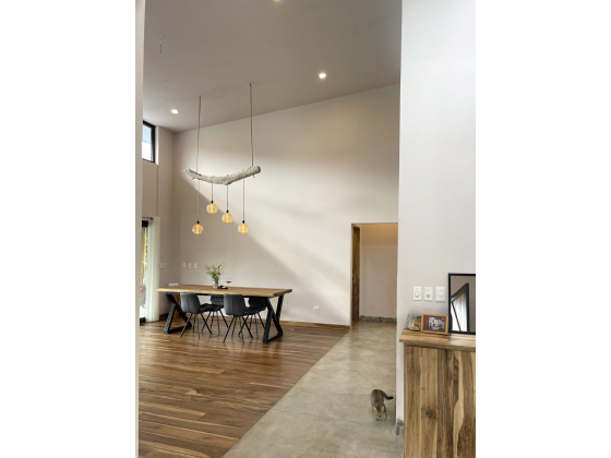 Teak Floors and Tall Ceilings