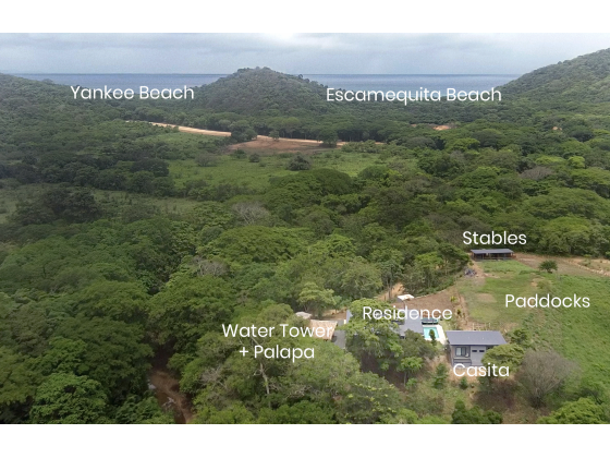 Location. Location. Location