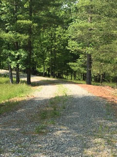 Excellent Interior Road