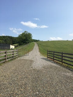 Wide entrance suitable for horse trailers.