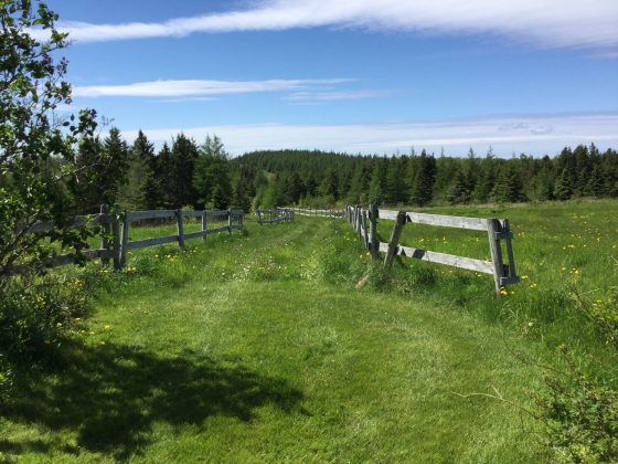 leading to the fields and trails