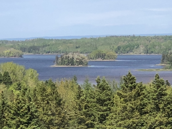 Pomquet Harbour