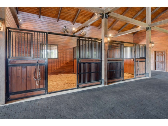  Four 12 X 12' stalls with Nelson automatic waterers