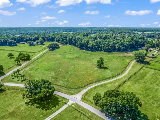 Horse Farm Ocala Florida 