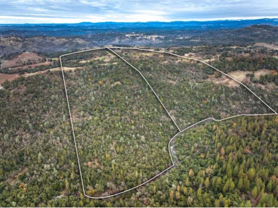 2 Parcels Equaling  300+ Acres includes 1/2 river frontage