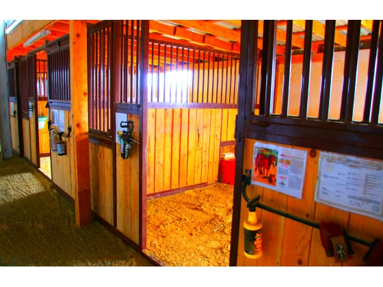 12 indoor stalls (6 with runs) water access two round pens 4 cattle pens and more than 50 total covered stalls