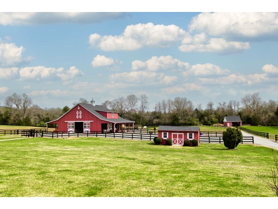 6 stall Barn and out buildingss