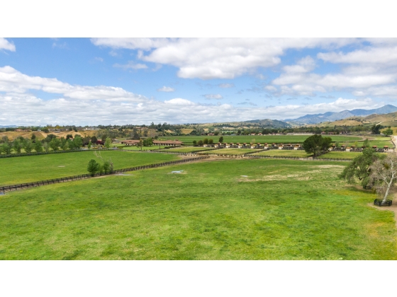 Expansive Grass Pastures