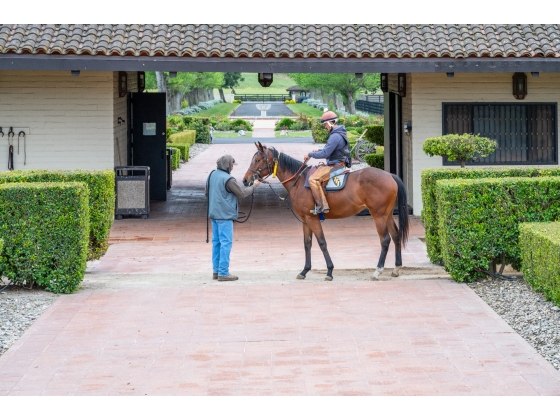 California's Premier Equestrian Facility
