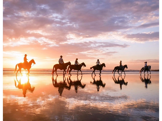 Sunset Tour Specialties at Big Sky Stables