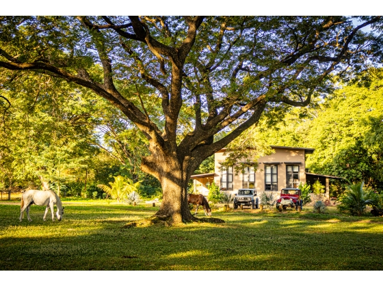 Barndominiums, Big Sky Stables for Sale, Nicaragua