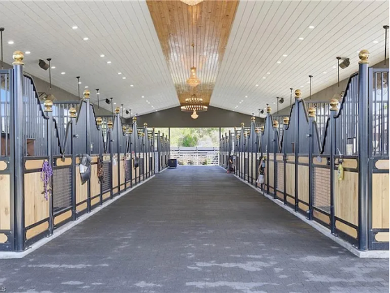 LOOKING for a professional equestrian facility?