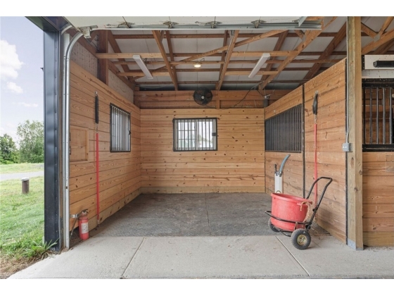 Grooming Stall Grooming Stall